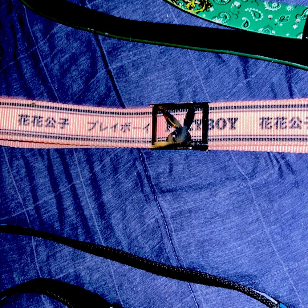Playboy belt